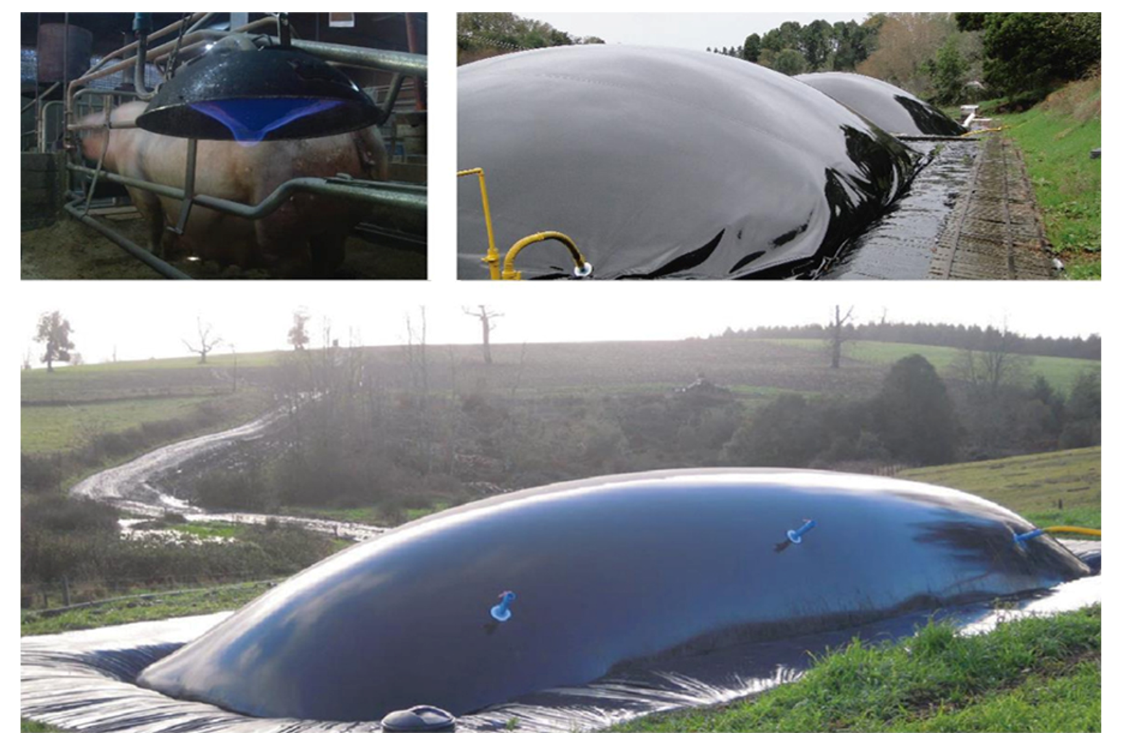 Estudio de VT con enfoque en tecnologías de biodigestión anaeróbica y consumo de biogas para el sector agropecuario